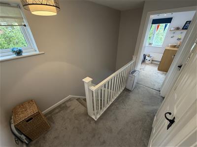 Picture 10